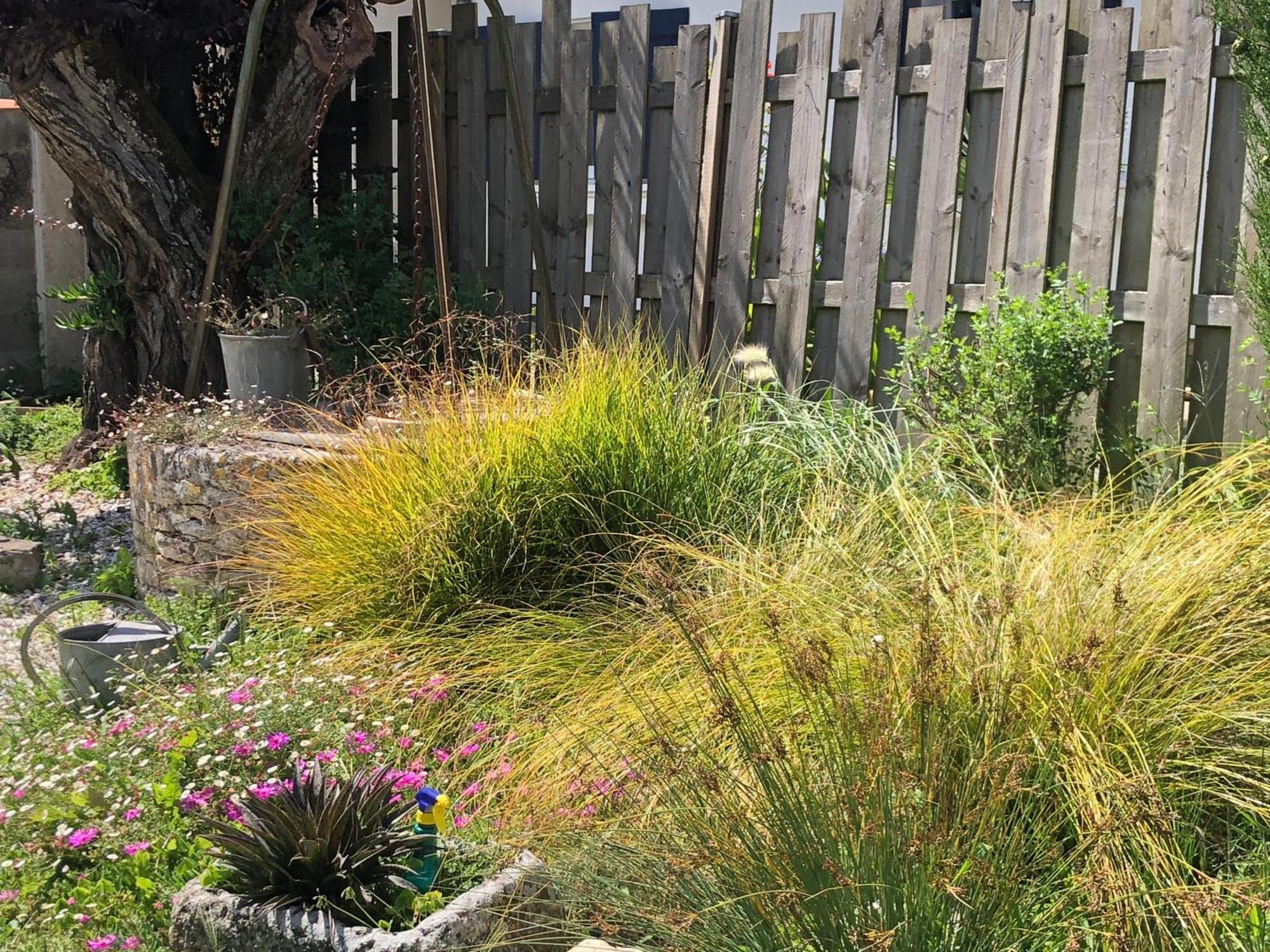 Les Fleurs De Lys, Suites Privee Avec Terrasse Saint-Georges-d'Oleron Exterior foto