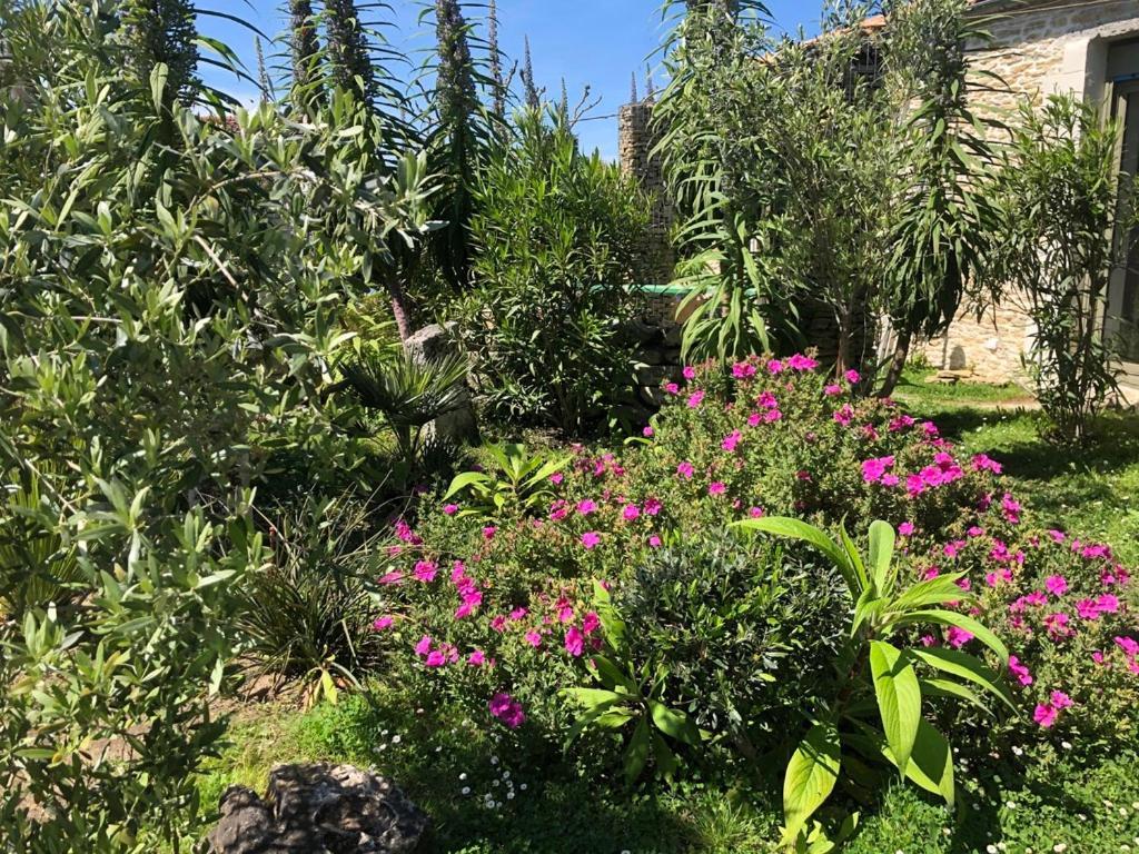 Les Fleurs De Lys, Suites Privee Avec Terrasse Saint-Georges-d'Oleron Exterior foto